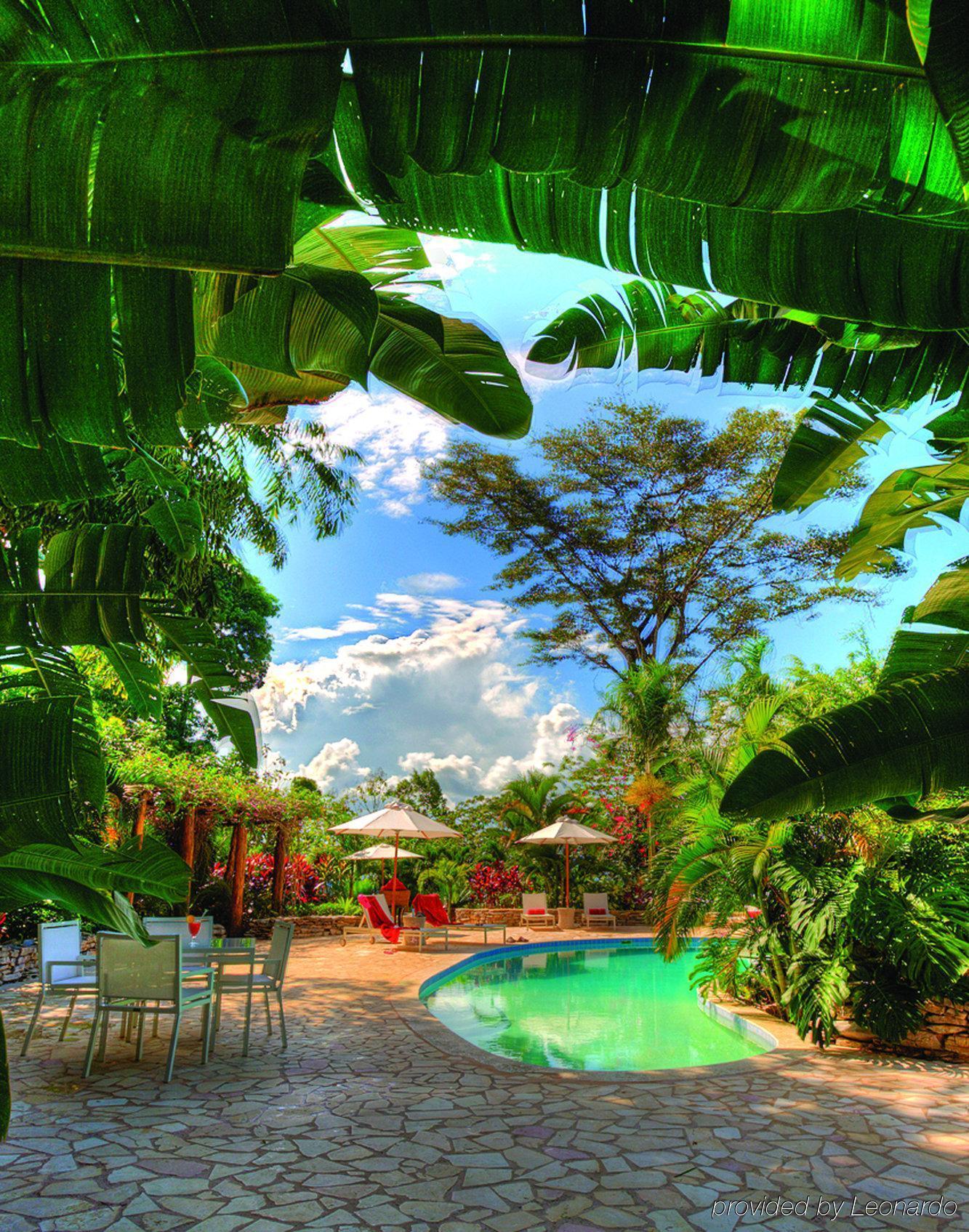 Machaca Hill Rainforest Canopy Lodge Punta Gorda Bagian luar foto