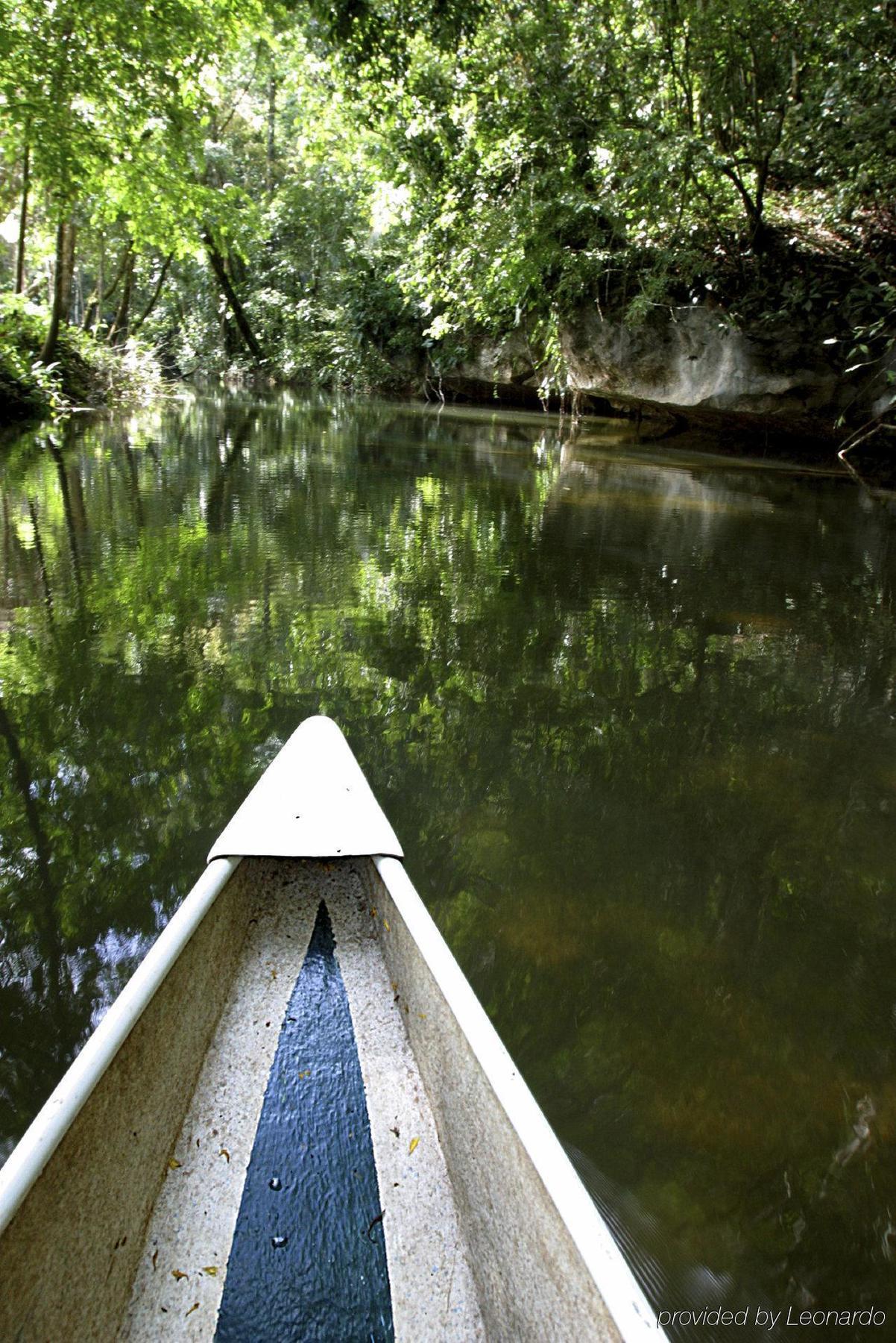 Machaca Hill Rainforest Canopy Lodge Punta Gorda Bagian luar foto