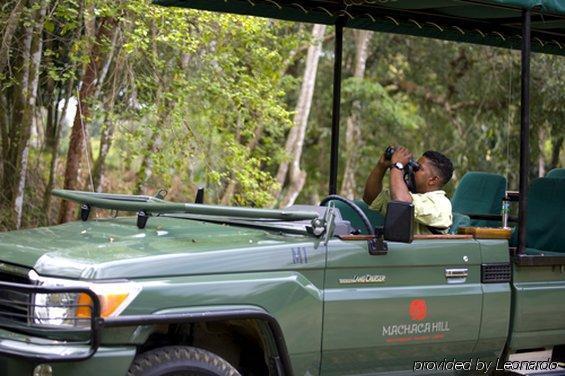 Machaca Hill Rainforest Canopy Lodge Punta Gorda Bagian luar foto