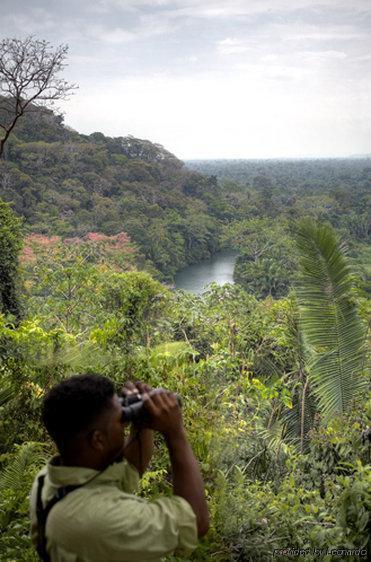 Machaca Hill Rainforest Canopy Lodge Punta Gorda Bagian luar foto